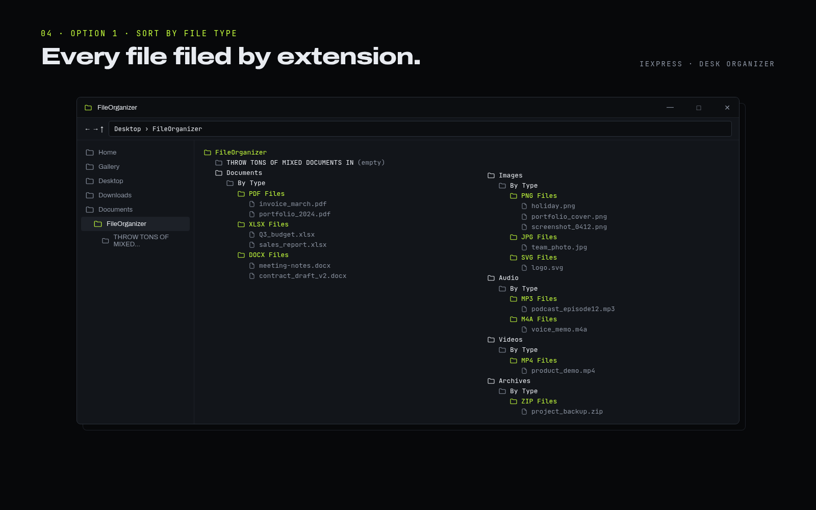 FileOrganizer folder tree after sorting by file type